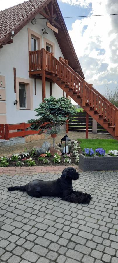 Appartamento Liwa Garden Krzywa 11 Esterno foto