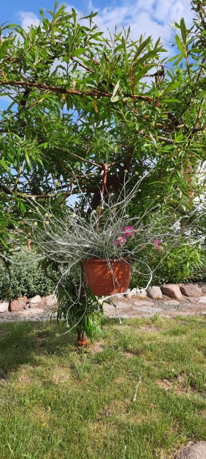 Appartamento Liwa Garden Krzywa 11 Esterno foto