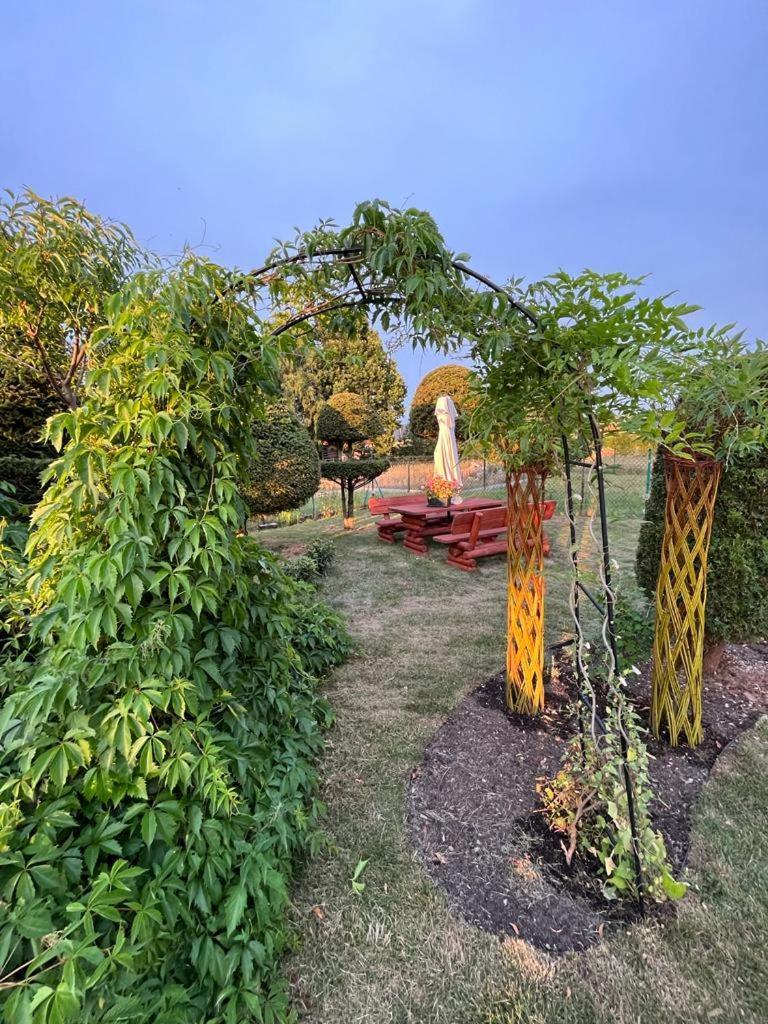 Appartamento Liwa Garden Krzywa 11 Esterno foto