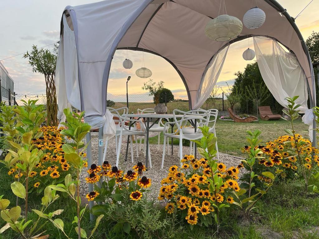 Appartamento Liwa Garden Krzywa 11 Esterno foto